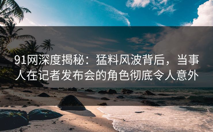 91网深度揭秘：猛料风波背后，当事人在记者发布会的角色彻底令人意外