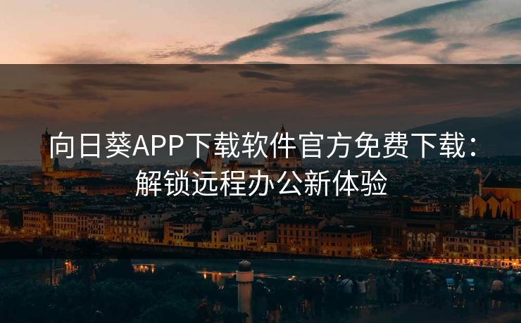 向日葵APP下载软件官方免费下载：解锁远程办公新体验