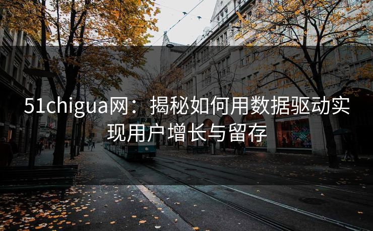 51chigua网：揭秘如何用数据驱动实现用户增长与留存