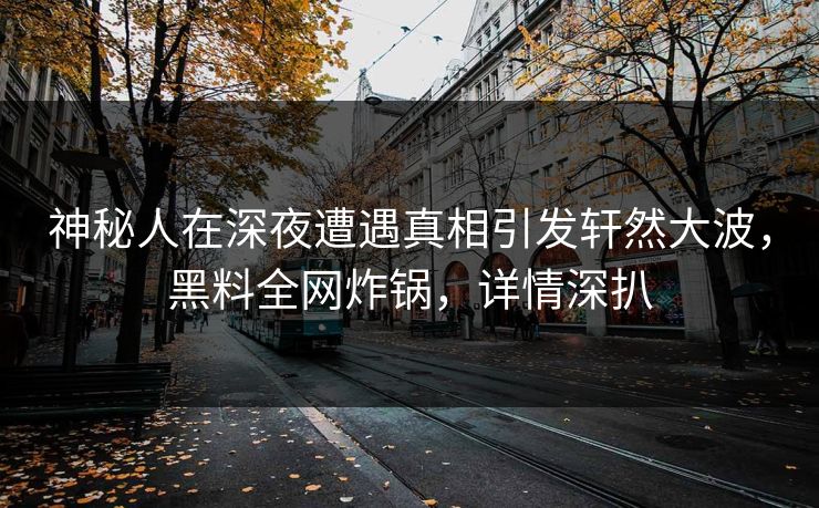 神秘人在深夜遭遇真相引发轩然大波，黑料全网炸锅，详情深扒